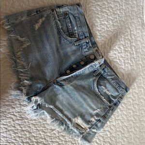 AGOLDE original Parker short
 Swapmeet rinse